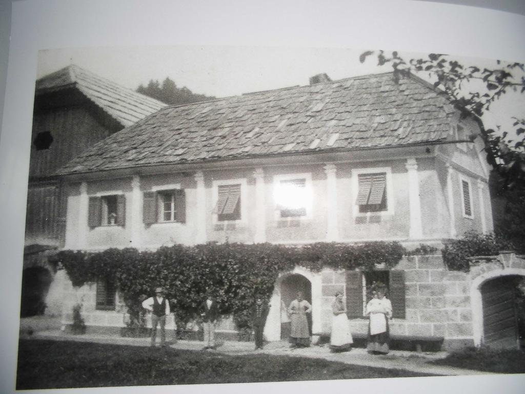 Pension & Ferienwohnung Dullnig Gmund in Karnten Exterior photo